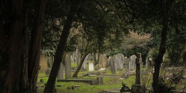 Mother/Daughter Relationship Proves Hard in Life and Death