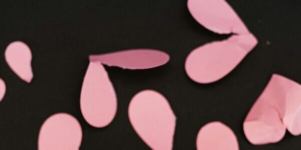 Picking Up the Pieces After Being Left Behind