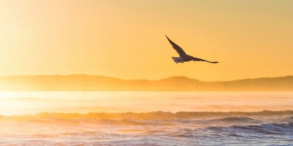 Balancing Independence With Newfound Curiosity