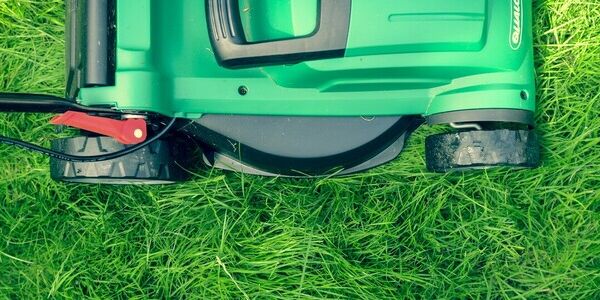 The Grass Is a Lot Longer on the Other Side