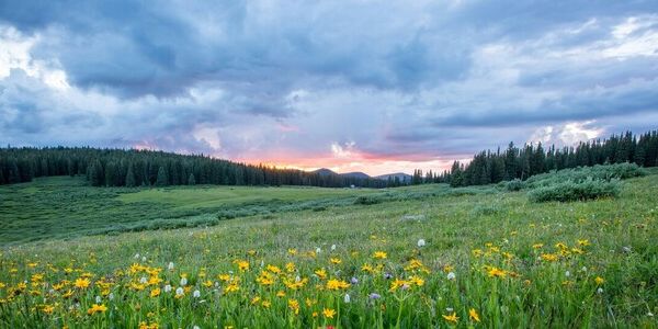 The Hopeful Promise of Easter