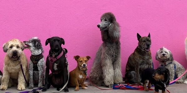 Choosing Peace Over an Endless Battle