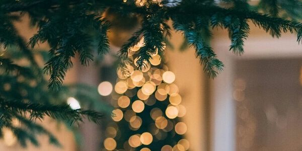 The Guests Who Stole Christmas