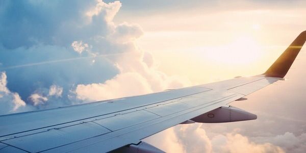 The Flight Not Taken